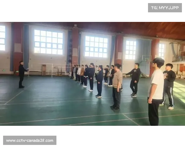 裁判员培训制度完善，专业判罚能力提升赛事质量